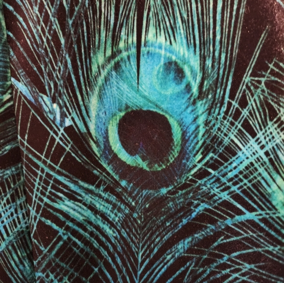 🦚🇬🇧 🆕️Twisted Tailor NWT Peacocks Velvet Dinner Jacket Size 38R - Picture 4 of 8